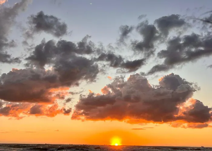 Daire The Wish Garden Golem (Tirana)