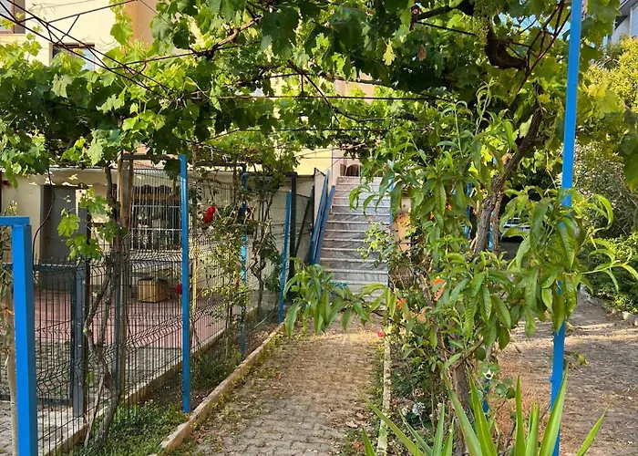 The Wish Garden Daire